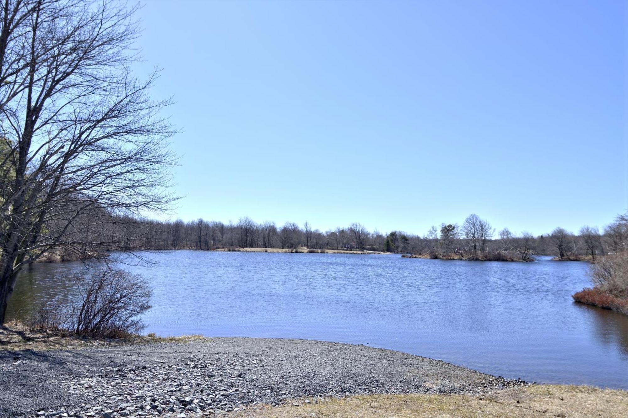 Lakehouse *Hottub*Jacuzzi*Firepit*Bbq*Pool Long Pond Εξωτερικό φωτογραφία